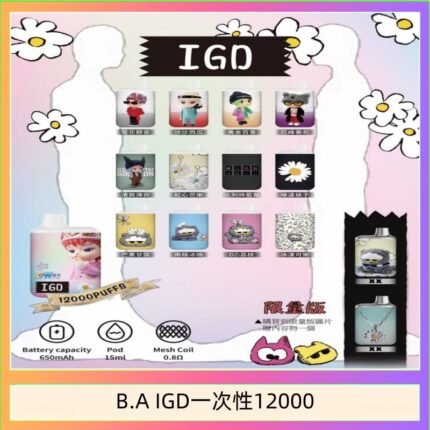 B.A IGD12000口 電子煙