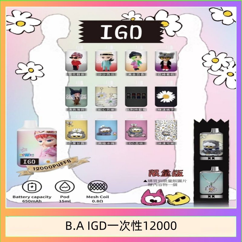 B.A IGD12000口 電子煙